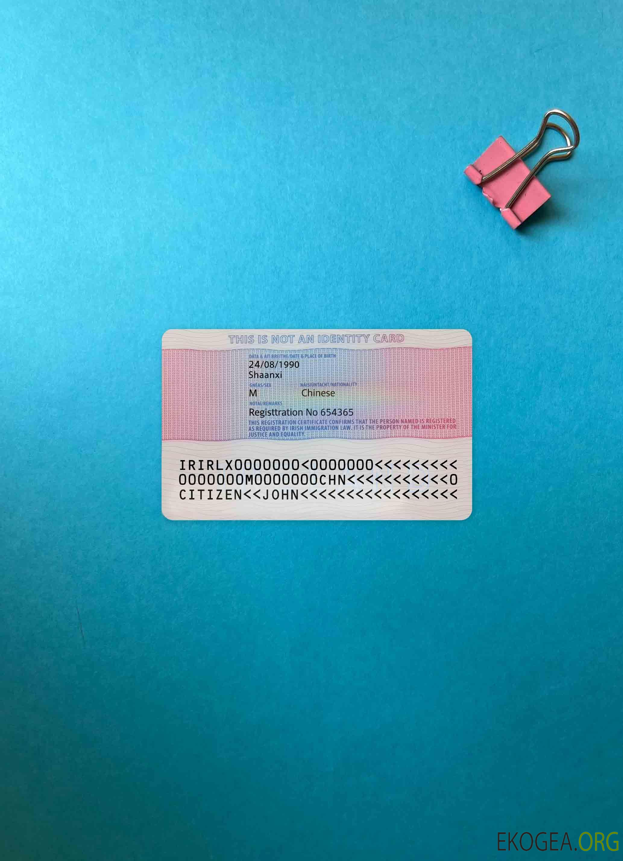 Photolook du permis de séjour en Irlande RETOUR